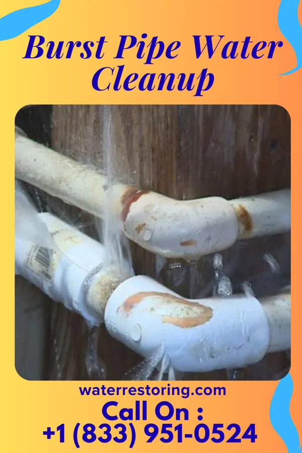 Burst Pipe Water Cleanup in St. Charles, VA