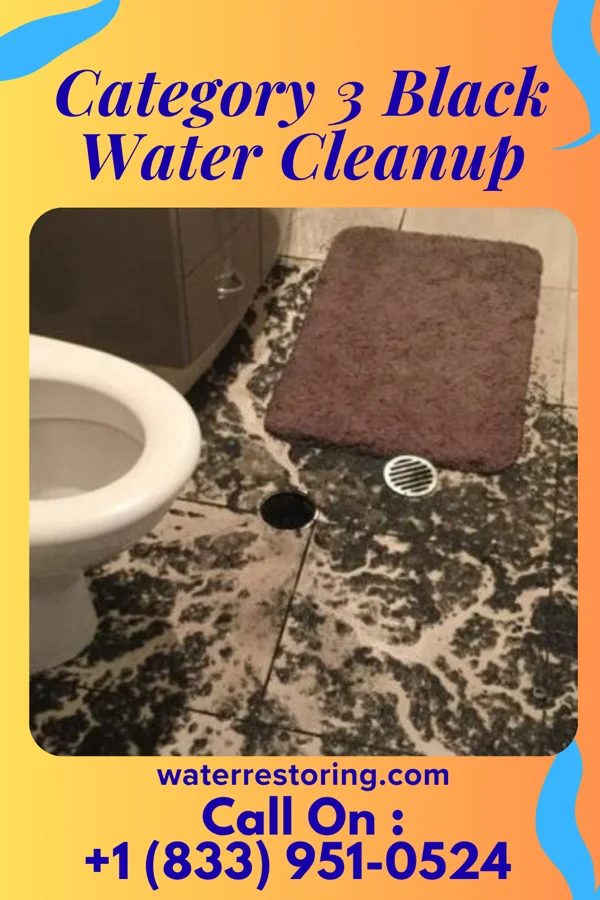 Category 3 Black Water Cleanup in St. Charles, VA