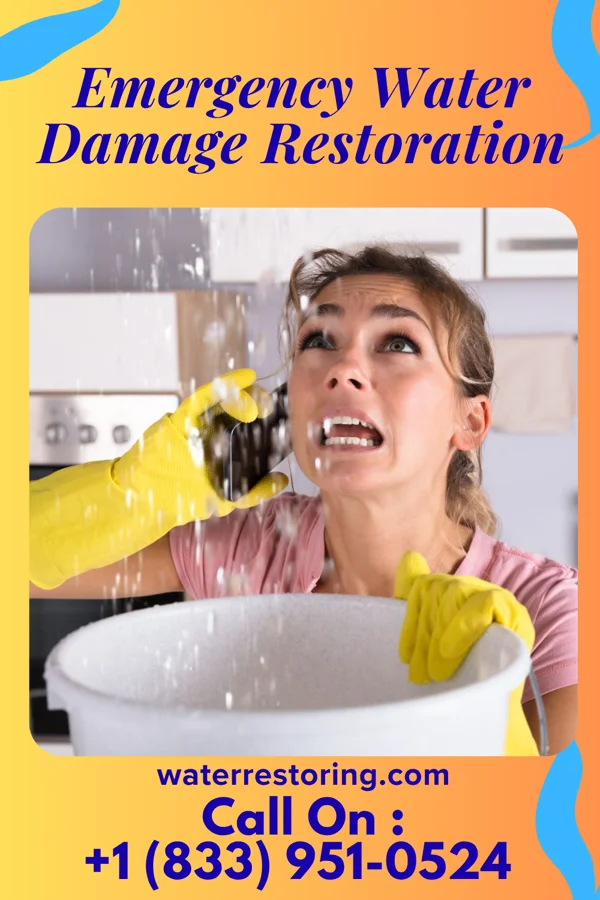 Emergency Water Damage Restoration in St. Charles, VA