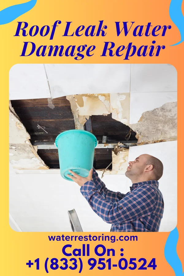 Roof Leak Water Damage Repair in St. Charles, VA