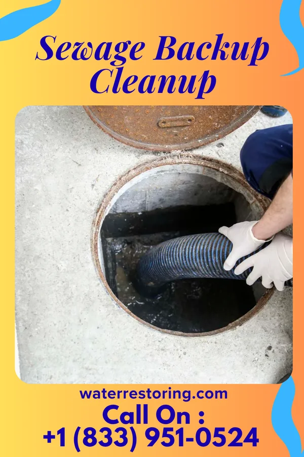 Sewage Backup Cleanup in St. Charles, VA