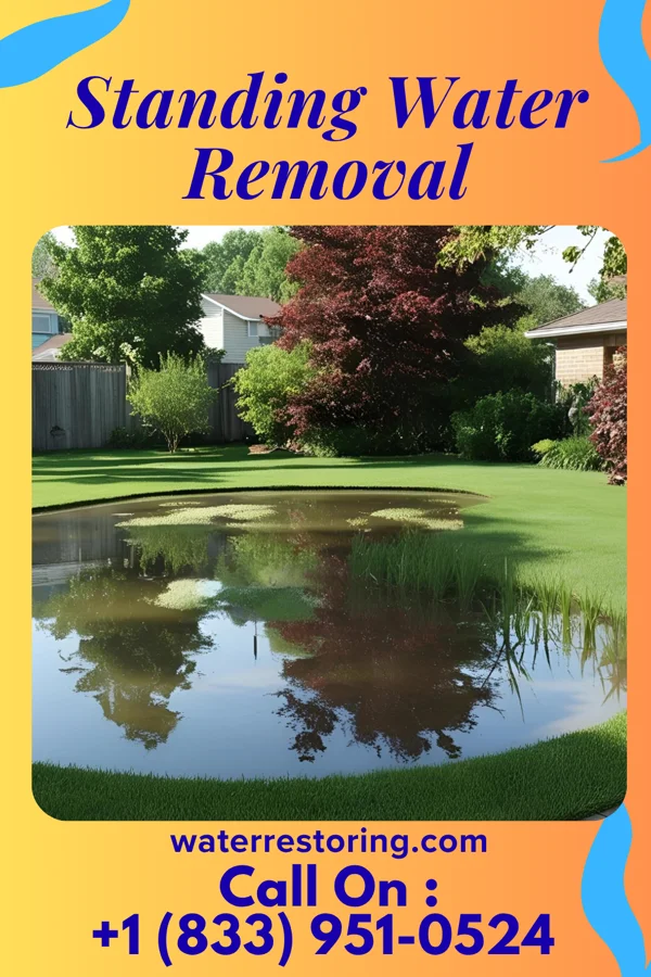 Standing Water Removal in St. Charles, VA